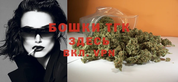 СК Пересвет