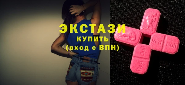 СК Пересвет