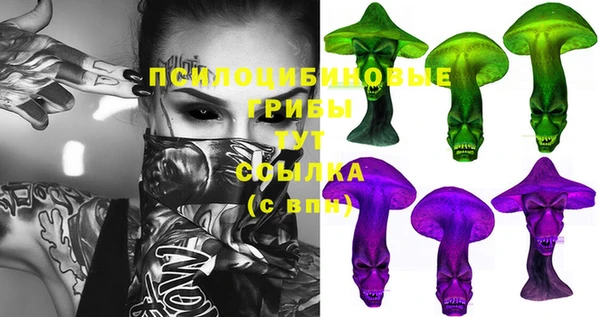 сатива Абаза