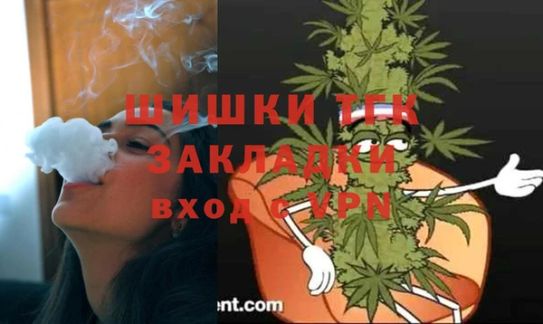 сатива Абаза
